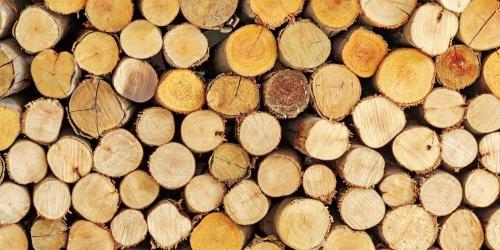 Closeup of wood