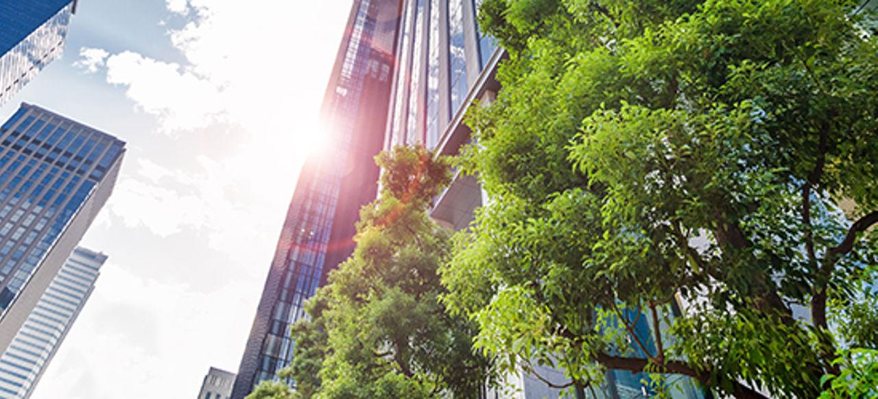 Office buildings with green trees